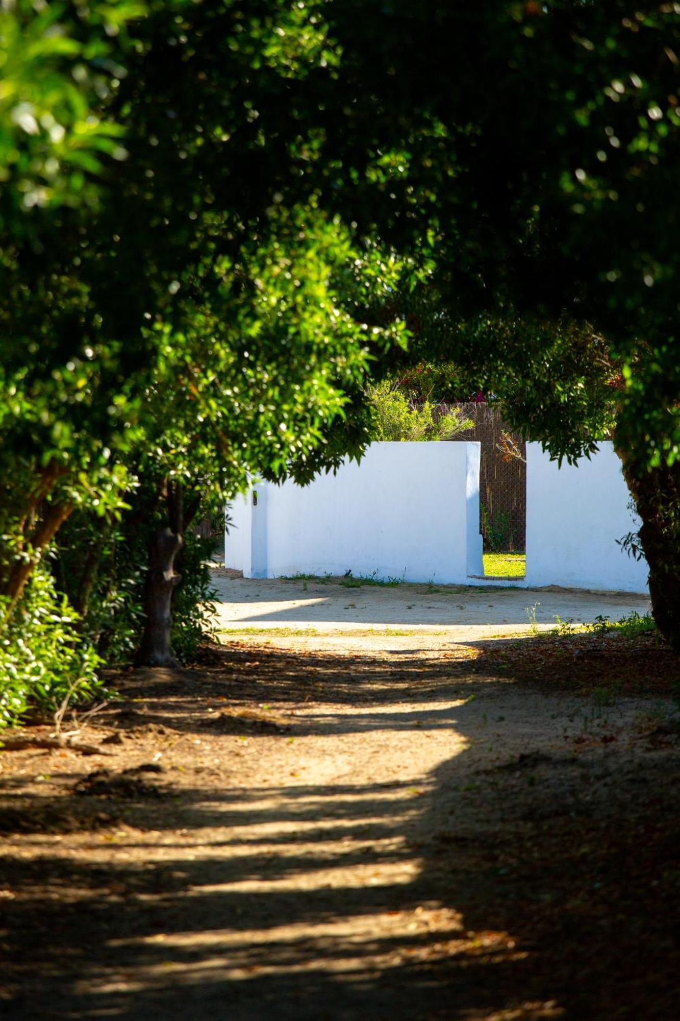 Casara Seis O Casara Siete - Tu Casa A 100M De La Playa De Zahora Hostal Exterior foto